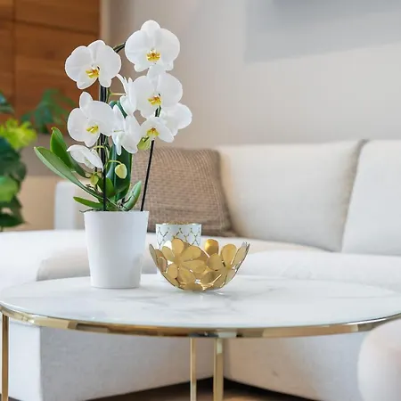 Chilliapartamenty- Zielone Tarasy- Aleksander * Kołobrzeg